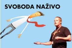 Ilustrační obrázek